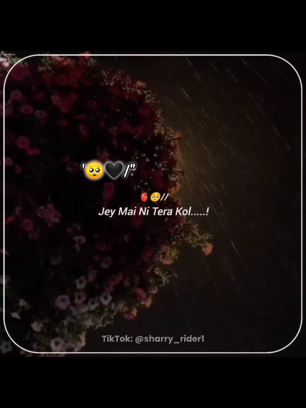 🥺 Jey Mai Ni Tera Kol, Tay Fir Kon Howe Ga 🖤🥀 #PunjabiSadStatus #SadLyrics #HeartTouching #PunjabiSongs #SadVibes 