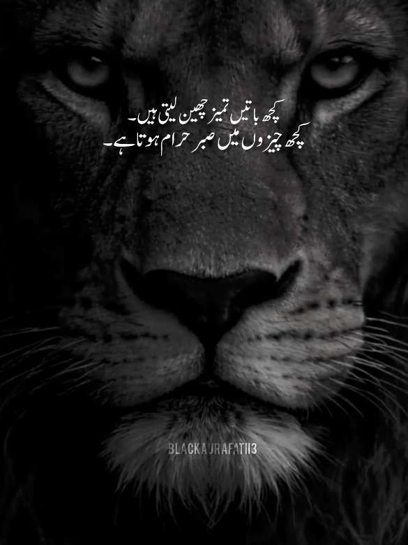 ہر بات برداشت کے قابل نہیں ہوتی۔ 💯🔥 . . . #BlackAuraFamii3  #RealityCheck  #UrduQuotes  #BardashtKiHad  #ForYou 