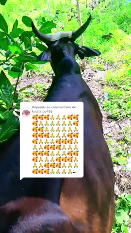 #VoiceEffects 