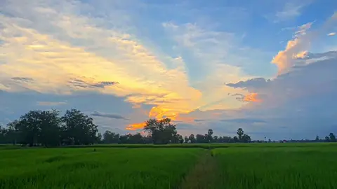 #ទេសភាពស្រុកស្រែ🌄🏜️🌱🌼🌾🐟 #កូនអ្នកតាកែវ #fyp #fypシ #foryou 