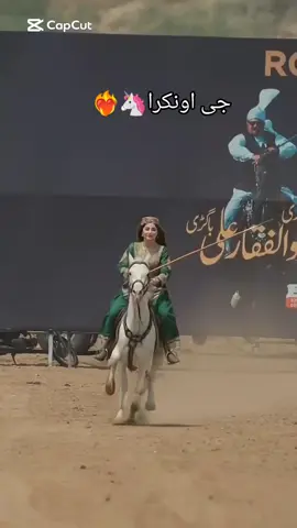#nezabazi #punjabiculture #famousgirlrider #tentpegging #desiculture 