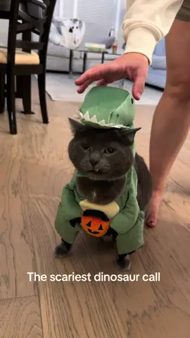 Tony’s ready for Halloween 🎃 🦖#halloweencostume #catcostume #rawr #sliving 