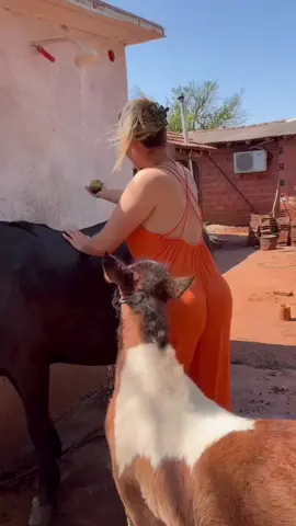 Village life 🌲🐮🌲 #village #villagelife #fy 