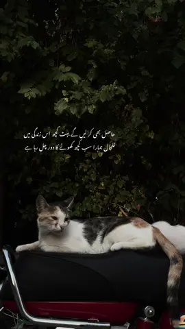 #fyp ❤️‍🩹