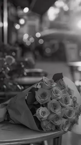 #مسسسسسسسسسسسساء_الورداااات🌹✨🌹 