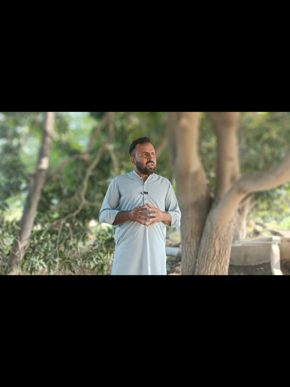 لوسن کی کاشت میں سپرے اور دانے دار کا استعمال#goatfarming #foryoupage❤️❤️ #unfreezemyacount #farming 