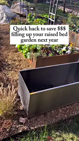 Don't throw out your leaves! Bag up your scraps over winter and you'll have free raised-bed filler when spring comes around. The leaves will slowly decompose into nutrient-rich compost right under the soil. Remember, get the leaves wet and stomp them down before adding soil on top so that the soil level doesn't sink down too much. Now, go to my bio to find out when you can get started on next year's garden! #garden #fallgarden #leaves #raisedbed #gardeninghack 