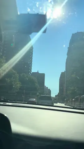 🏙️🏙️
