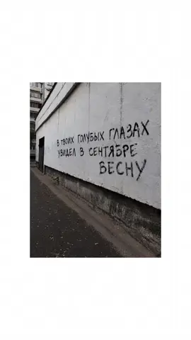 без ошибок 🙄🙄🙄🙄#moodboard #Love #foryou #eyes #recommendations #viralvideo 