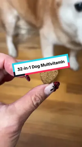 Grab Petrivium 32-in-1 Dog Multivitamin because they are palatable and easy!! #dogvitamins #dogsupplements #healthydog #doghealth #family @Petrivium 