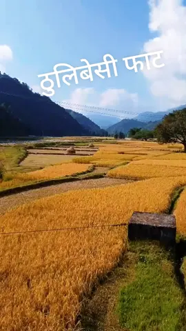 @𝑲𝒉𝒚𝒂𝒎 𝑻𝒉𝒂𝒑𝒂🇳🇵 