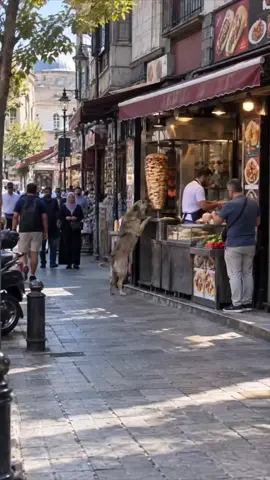 #🥪🥪🥪 