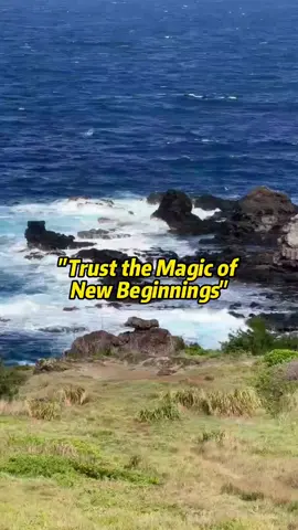 Every quiet ending carries the silent seed of a brand-new start. 	Stepping out of your comfort zone can feel intimidating, but the unknown holds far more possibilities than the familiar past. Release what no longer serves your spirit, open your heart to unexpected paths, and trust that life is preparing you for something wonderfully transformative.	#NewBeginnings #FreshStart #EmbraceChange #Courage #FutureAwaits 