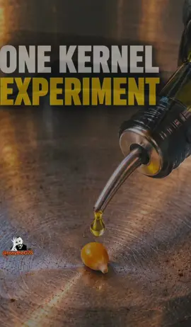 Have you ever tried a one-kernel popcorn experiment? This one got out of hand. I wasn't ready for that ending. Were you? 😬🤣😅😂 #viralvideo #experiment 