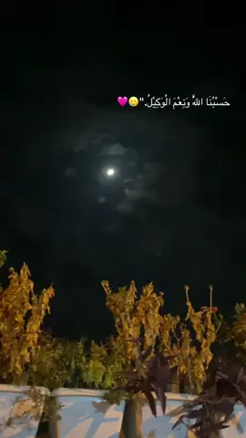 #دينارته_زيبارى_ئاكرئ_دهوك_كوردستان_اسيا #creatorsearchinsights #اكسبلوزررررexplore #شعب_الصيني_ماله_حل #الحمدلله_دائماً_وابداً ..