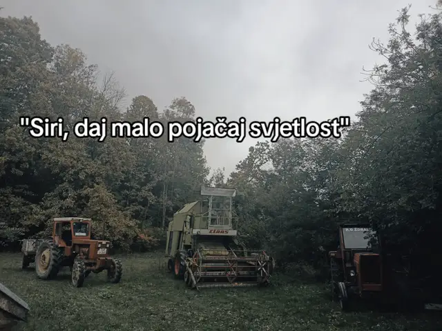Neke lijepše godine... @DjoleTomos @BALACKI @🇲🇽Marko🇲🇽 @P.G.Maksimovic @Đorđe Berić #fyp #nostalgia #viral #staravremena #activies 