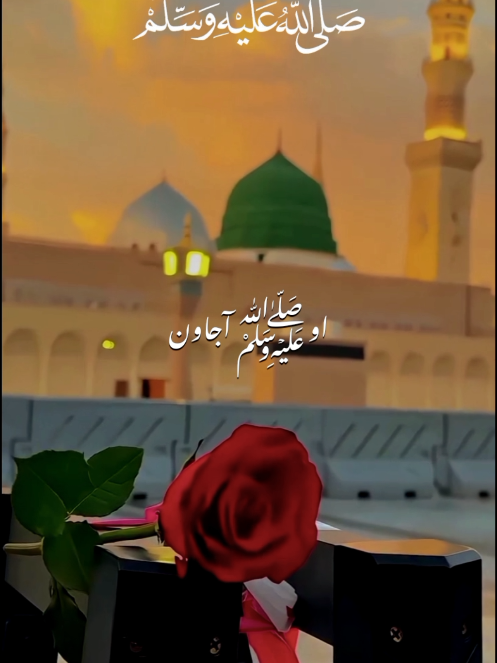 Aao aajawan ✨🤍||NAAT STATUS ✨🌼||NAAT SHAREEF 🌼🤍||#صلی_اللہ_علیہ_وسلم #naat #naatstatus #naatshareef #forupage 