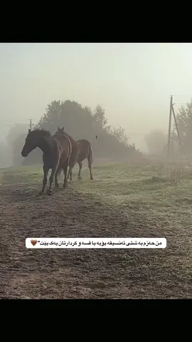 ئەگەر ئەزێت نیە یەک ڕووبن🤎🫡#actives? #fyppppppppppppppppppppppp #tiktok #explore #tiktok 