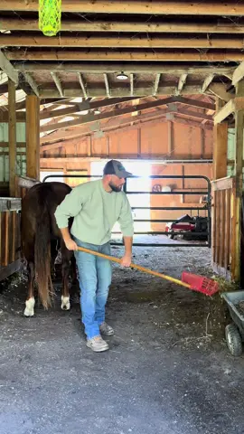 #chores #thebarngarden #horses 