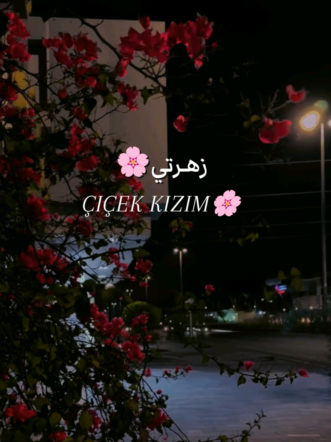 أبنتي جَعَلَ اللهُ كُلَّ خُطْوَةٍ تَخْطُوهَا خَيْرًا🤲🌷 #ابنتي#دعائي #اولادي #اكسبلور #تصميمي