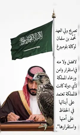 #ولي_العهد #الامير_محمد_بن_سلمان #السعوديه #السعوديه_العظمى🇸🇦 #اكسبلورexplore 
