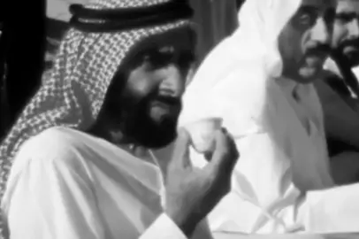الشيخ زايد بن سلطان ال نهيان رحمه الله مع حكام الخليج الله يرحم الميت منهم ويطول بعمر الحي 🤍 #fyp #viral #foryou #uae #الخليج 