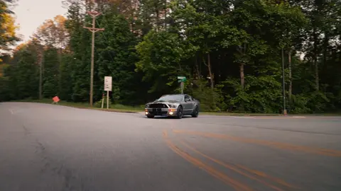 Just a Shelby doing Shelby things #videography #fypシ #carvideos #shelbygt500 #mustang