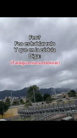 Serán 🤡? #fypシ #fypシ #talaiguanuevobolivar 