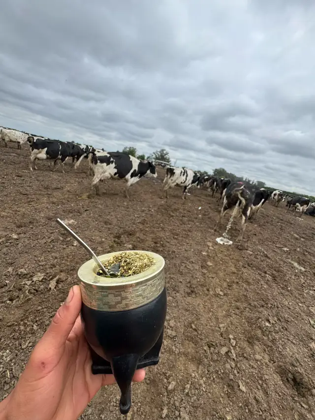 #paratiiiiiiiiiiiiiiiiiiiiiiiiiiiiiii #tambosargentinos🐄🐄🐄 #tiktok