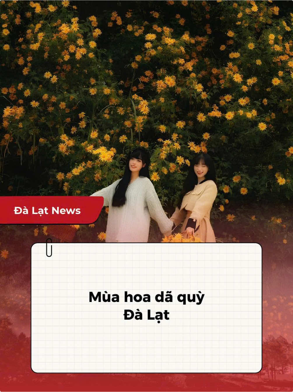 Mùa hoa dã quỳ  #tramnangbbq #suoncaykhonglo #dalatdiary #dalatstory #dalatreview