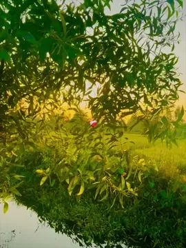 -/ হুম ❤️‍🩹 #Bangladesh #tiktokforyiu #viraltiktok #foryouvideo #trendingtikTok 