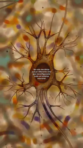 Neuroplasticidad btw  #psicologia #fyp 