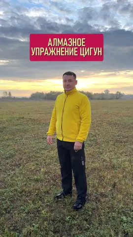 АЛМАЗНОЕ УПРАЖНЕНИЕ ЦИГУН