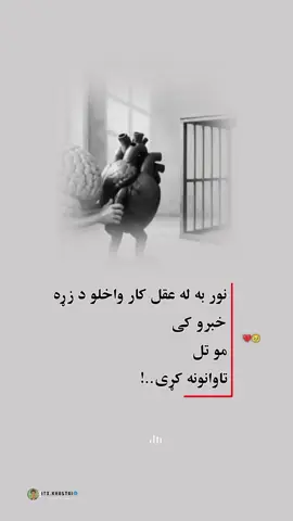 #virale #foruyou #viralvideo #forupage #زړه_تنګون😢😭💔 #وخۍ 