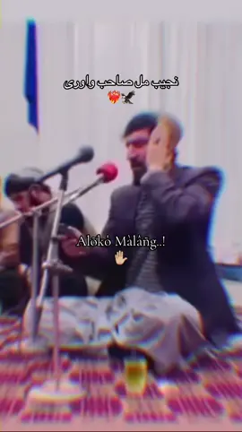 #اوښکی که توی پر دربار دبادار#for #viralvideos #vive #100k 