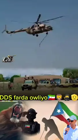 DD S farda owliyo🇬🇶🇬🇲🦁🥷🫡 cidanka dawlada deganka Somalida galbeed Liyuu police 🚓🚨@Horyaal tv 🇬🇲📺 🇬🇲 @kaad dayib 