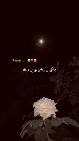 || TRUE || 🥹❤️😭 || #trustgod #fyp #foryoupage❤️❤️ #1millionaudition #unfreezemyaccount 