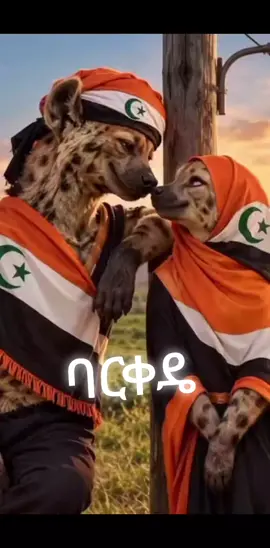 #ስልጤነት_ይላምልም👌 