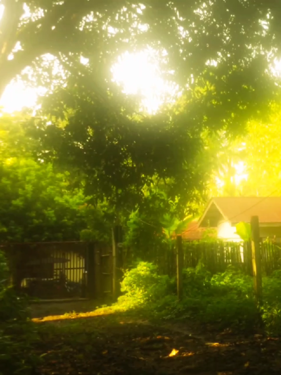 My heart aches at the thought that there are people out there, isolating and feeling alone because they don't have someone by their side (p′︵‵。) #foryou #fyp #nature #nostalgia #nostalgic 