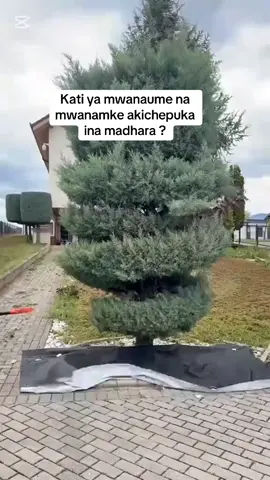 Kati ya mwanaume na mwanamke yupi akicheat ina madhara