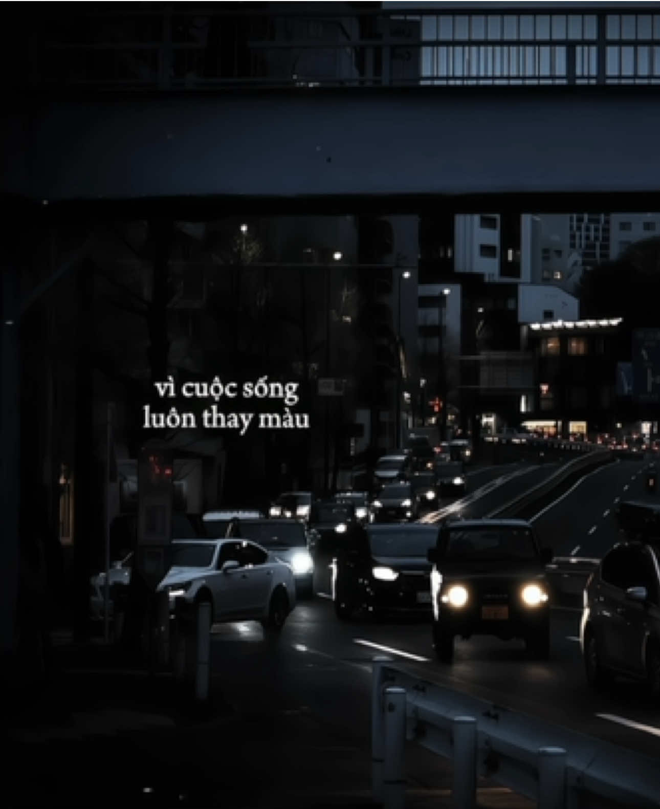 Vì cuộc sống luôn thay màu...                   #arismusic #capcut #capcutpioneer #pioneertemplate 