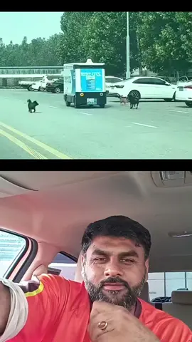@Gujjar 🤣🤣😂