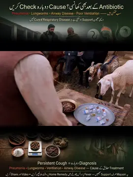 #fyp #viralvideo #agriculture #pakistani #farming 
