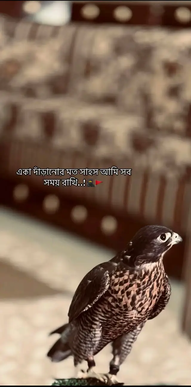 #Maksudnya 