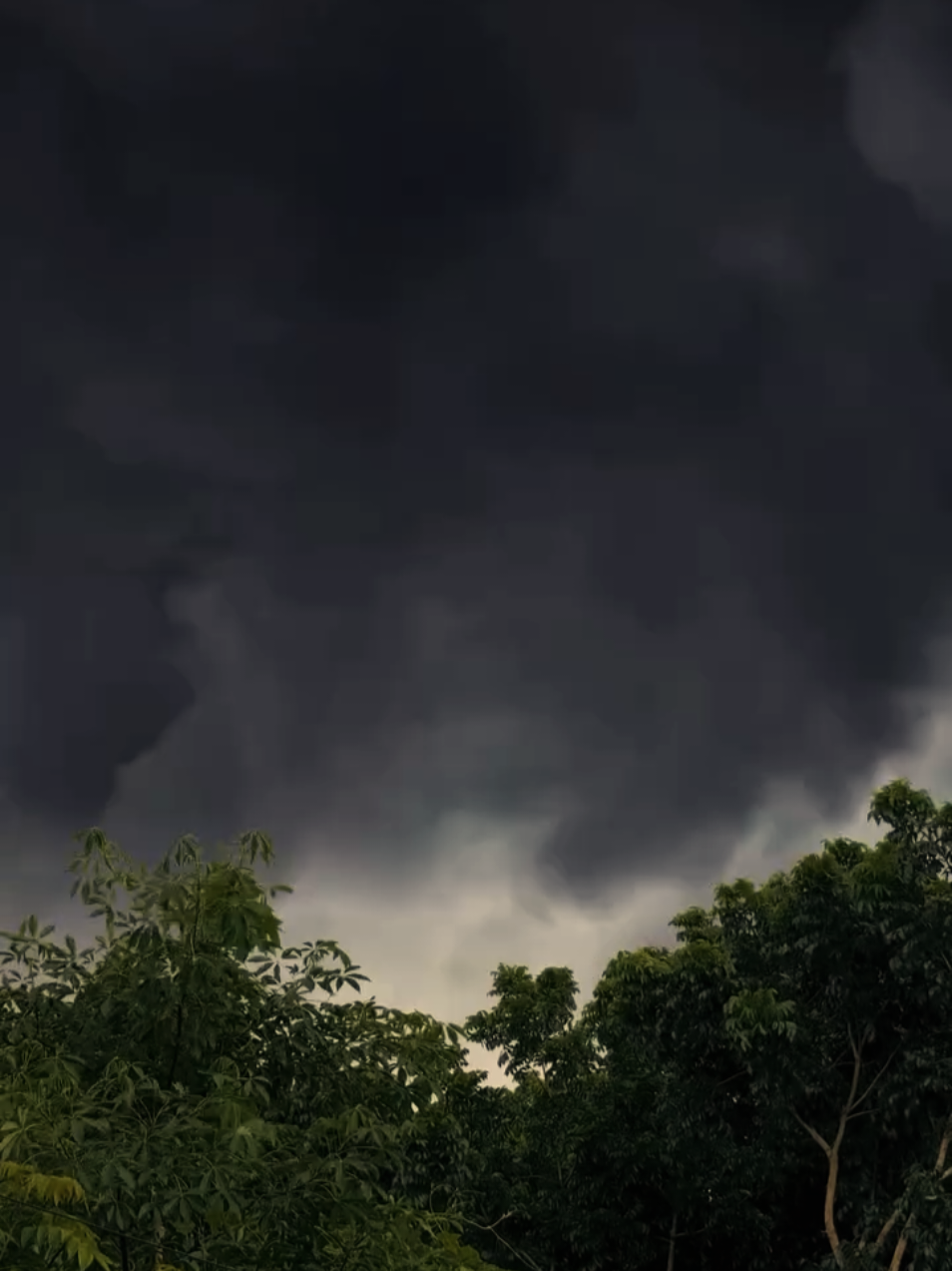 tamil song weather  #rainsongtamil #tamilsonglover #rainclimatesongtamil #tamilsongnature #rainyseason 