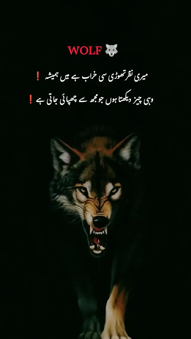 🚩🐺❗ نظر کمزور نہیں، پرکھ تیز ہے جناب! 👑🖤 لوگ جتنا چھپاتے ہیں، ہم اتنا ہی سمجھ جاتے ہیں۔ 🔥 #fyp #wolf #wolfline 