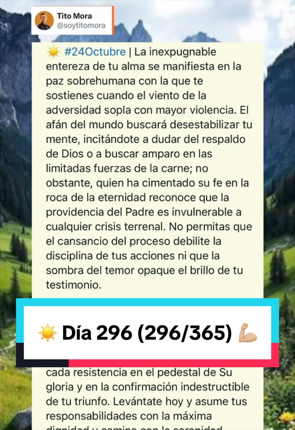 ¡Ánimo! 💪🏼 #Día297 (297/365)