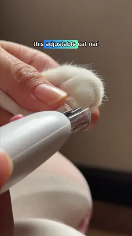 I used to keep clippers and a nail file separately. Now both are built into the same tool. #cat #FamilyFun #catnails #cathealth #catsupplies 