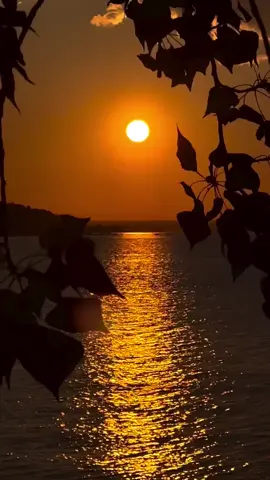 #islamic_video_AL_HAMDULILAH_I_M_MUSLIM #viral #pageforyou #fypシ 
