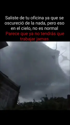 La mantaraya... | Voidmeme | #voidmemesenespañol #miedo #horror #terror #turbio 